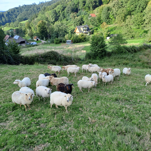 Just Us – Neubauernhof